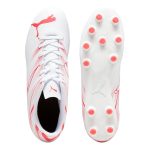PUMAATTA1
